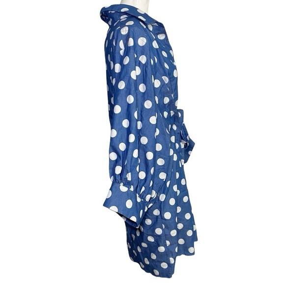 Suzanne Betro Blue Polka Dot Dress - Picture 3 of 16